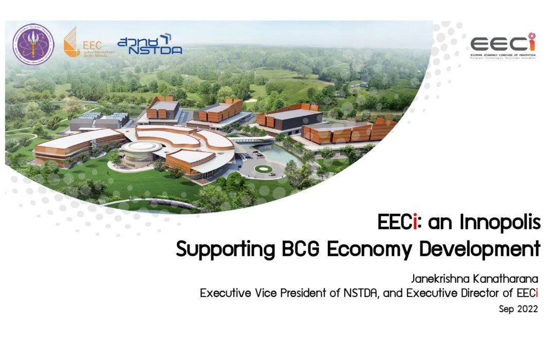 EECi: an Innopolis Supporting BCG Economy Development