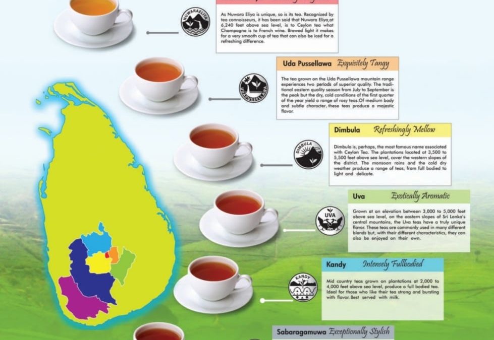 CEYLON TEA – THE FINEST TEA IN THE WORLD