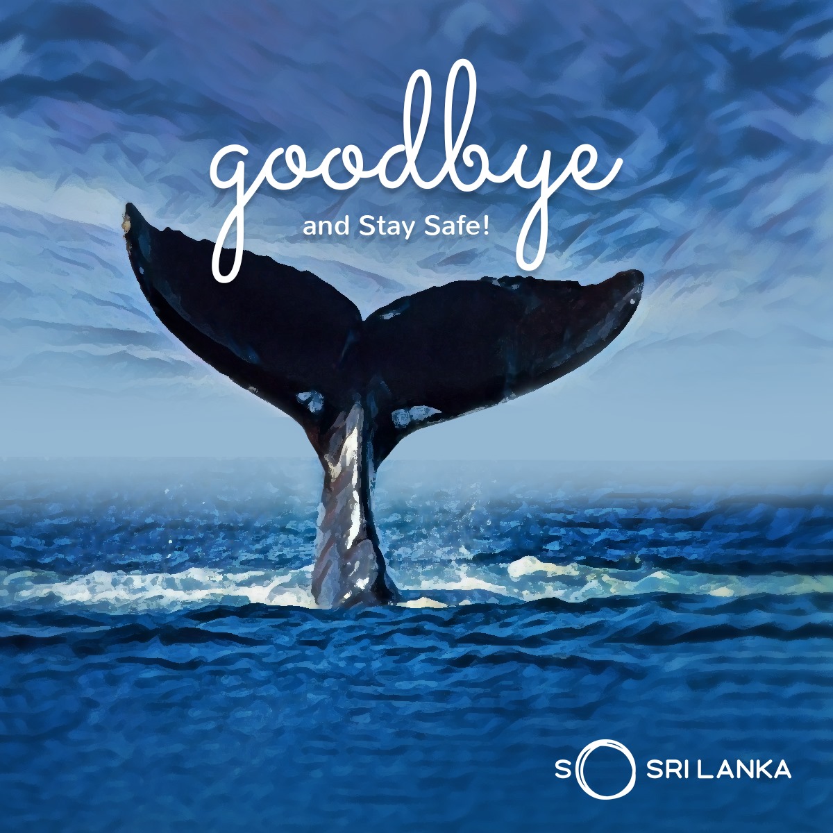 The 120 whales have been successfully rescued and sent back to sea!