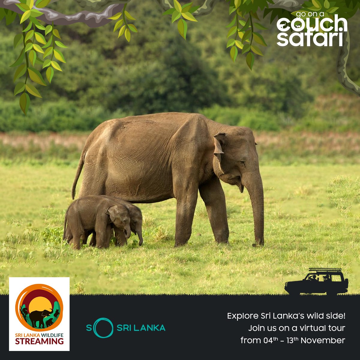 Gear up for an exciting sighting of elephants live in action at our magnificent Minneriya National Park! 