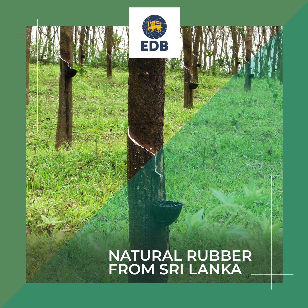 Natural Rubber from Sri Lanka