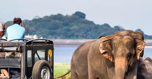 Sri Lanka’s National Parks and What They’re Famous For