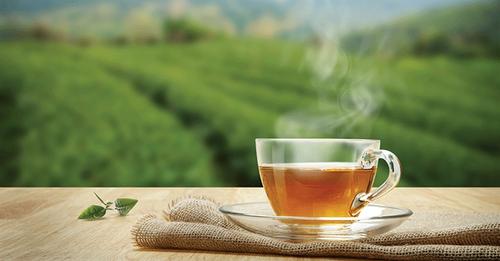 Tea: A Beverage Steeped in History & Health Benefits
