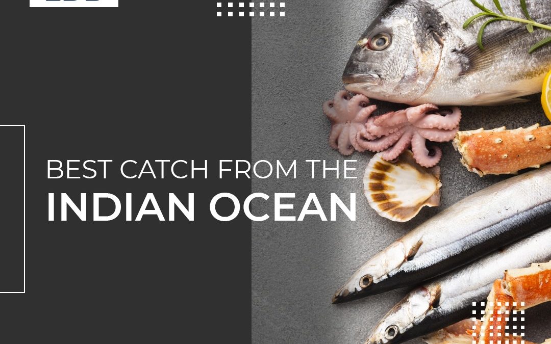 Sri Lanka’s fishing industry is a major supplier of seafood and fish varieties to major buyers