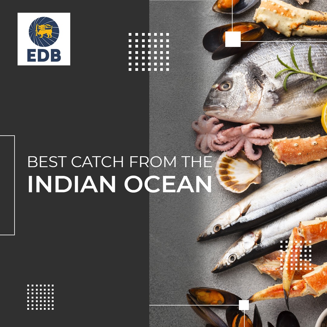Sri Lanka’s fishing industry is a major supplier of seafood and fish varieties to major buyers