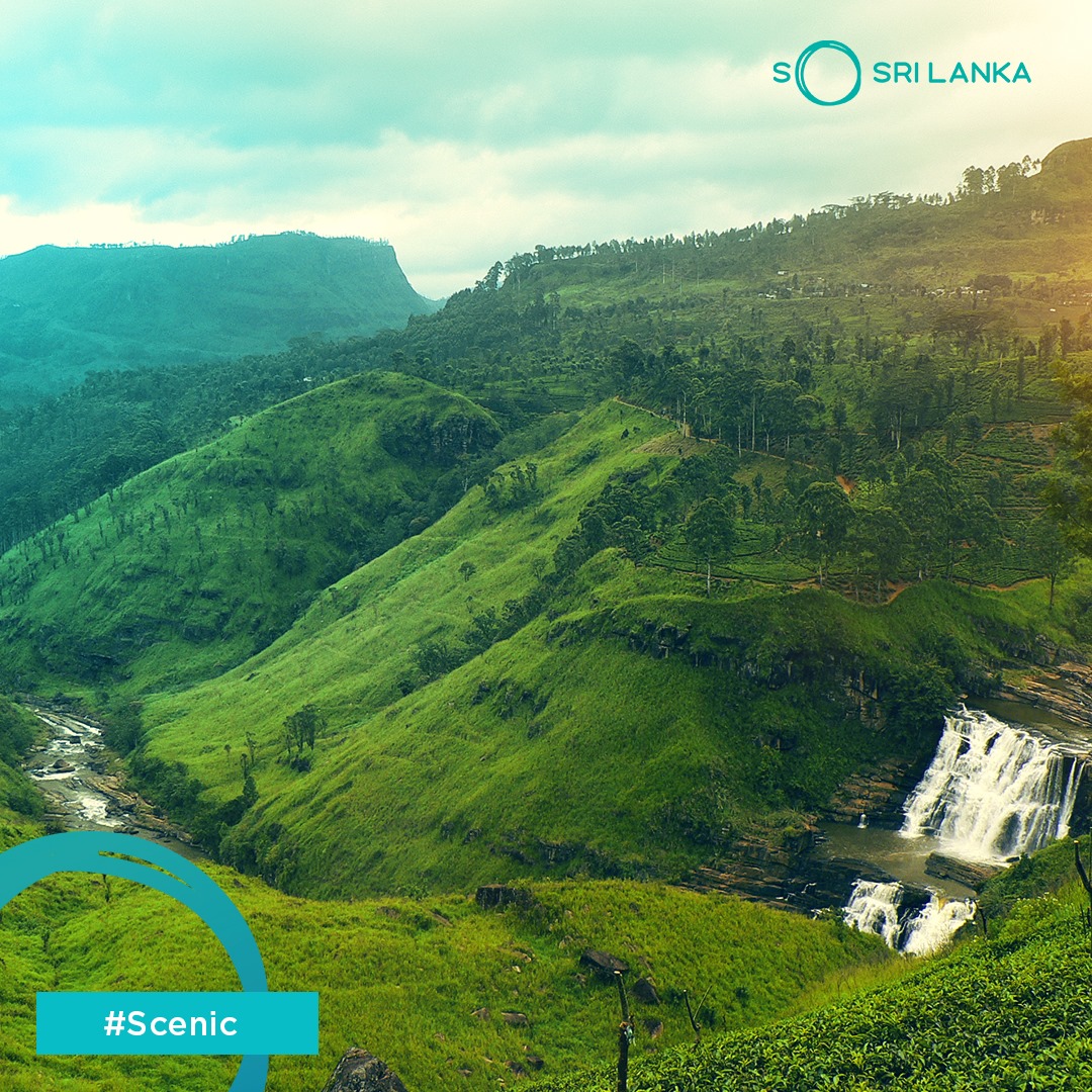 The glory of the Sri Lankan tea plantations provide majestic views and an excellent cup of tea.